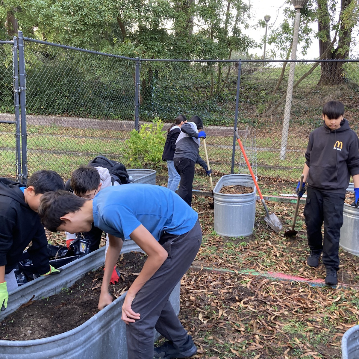 Students plant a garden